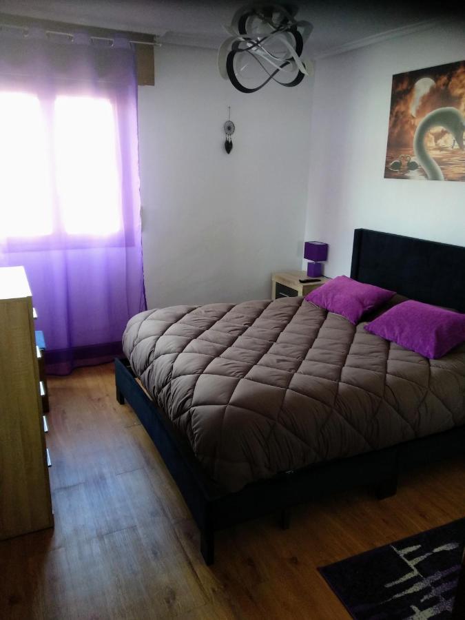 Vivienda Uso Turistico El Vie * Villarcayo